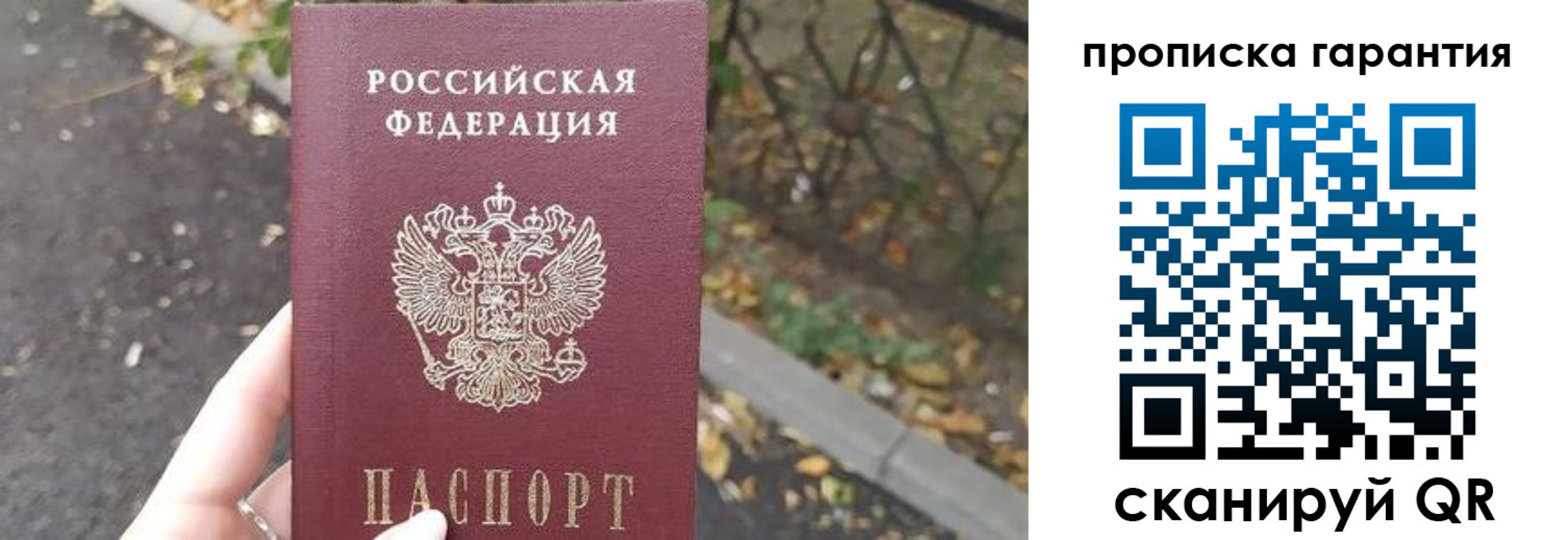 где прописаться в Щёлково