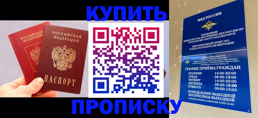 миграционный учет в Щёлково